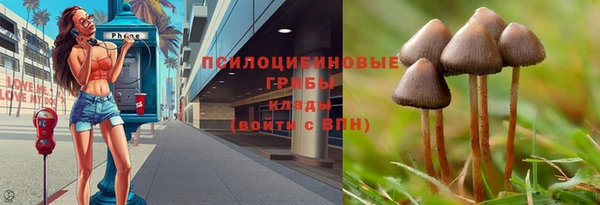 PSILOCYBIN Медвежьегорск