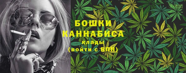 PSILOCYBIN Медвежьегорск