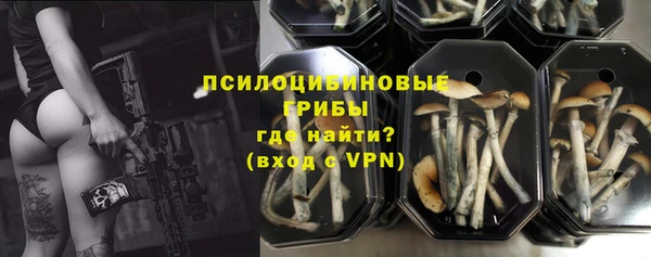 PSILOCYBIN Медвежьегорск