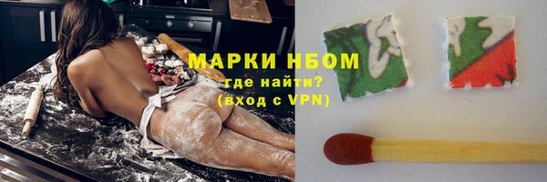 шишки Мегион