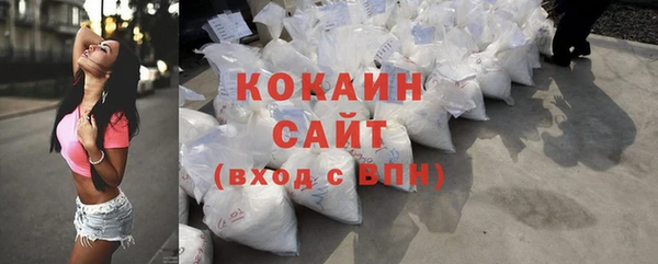 шишки Мегион
