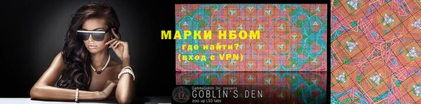 шишки Мегион