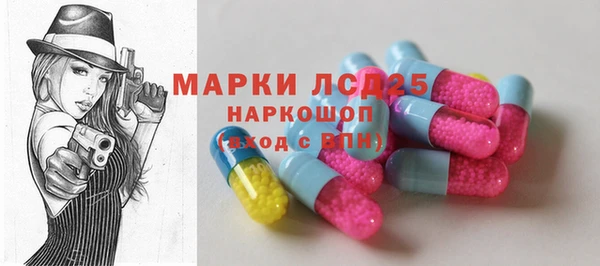 шишки Мегион