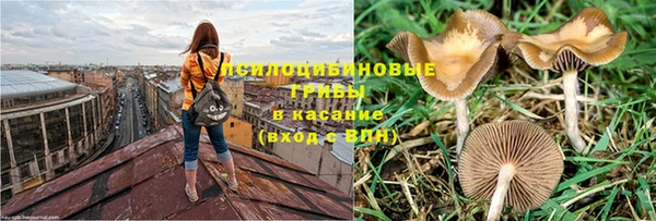 PSILOCYBIN Медвежьегорск