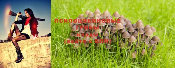 PSILOCYBIN Медвежьегорск