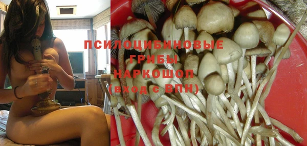 PSILOCYBIN Медвежьегорск