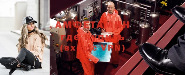 шишки Мегион