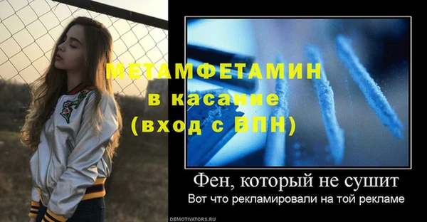 шишки Мегион