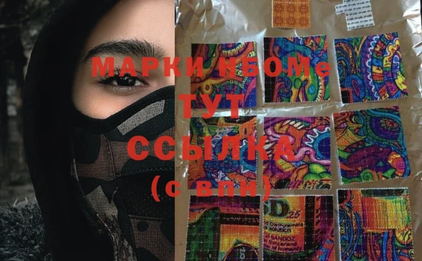 шишки Мегион